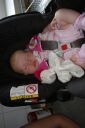 IMGP0677.JPG