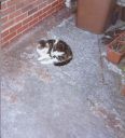 PL000488.jpg