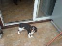 DSC00078.JPG