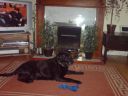 DSC00081.JPG