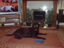 DSC00082.JPG