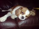 DSC00083.JPG