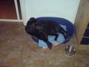 DSC00084.JPG