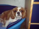 DSC00085.JPG