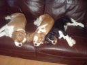 DSC00086.JPG