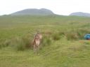 DSC00094.JPG