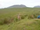 DSC00096.JPG