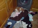 DSC00111.JPG