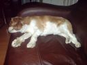 DSC00112.JPG