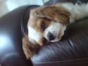 DSC00130.JPG