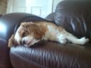 DSC00131.JPG
