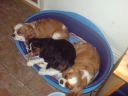DSC00133.JPG