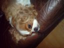 DSC00242.JPG