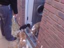 DSC00034.JPG