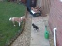 DSC00035.JPG