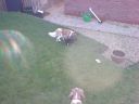 DSC00036.JPG