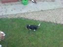 DSC00037.JPG