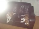 DSC00047.JPG