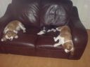 DSC00048.JPG