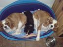 DSC00049.JPG
