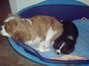 DSC00050.JPG