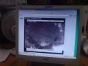 DSC00064.JPG