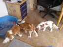 DSC00090.JPG