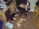 DSC00093.JPG