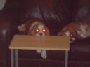 DSC00097.JPG