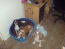 DSC00106.JPG