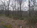 DSC00125.JPG
