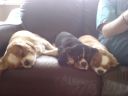 DSC00155.JPG