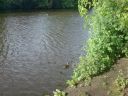 DSC00163.jpg