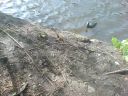 DSC00165.jpg