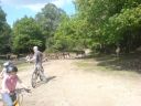 DSC00173.jpg