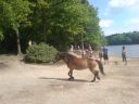 DSC00177.jpg