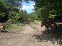 DSC00178.jpg