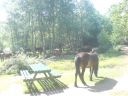 DSC00180.jpg