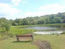 DSC00183.jpg