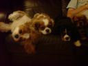 DSC00206.jpg