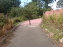 DSC00362.JPG