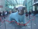 DSC00380.JPG