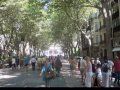 Palma.jpg