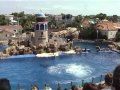 Seaworld.jpg