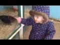 Hatton_Farm.jpg