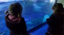 Megan_Amelia_Sealife_Centre.jpg