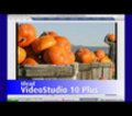 vs10ch10.jpg